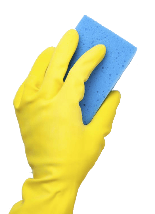 Professional cleaning person